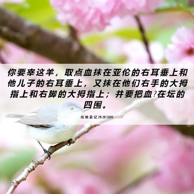 Picture 06 - 出 埃 及 记 29:20 CUVS - 你 要 宰 这 羊 ， 取 点 血 抹 在 亚 - Bible Verse Picture