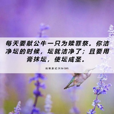 Picture 06 - 出 埃 及 记 29:36 CUVS - 每 天 要 献 公 牛 一 只 为 赎 罪 祭 - Bible Verse Picture
