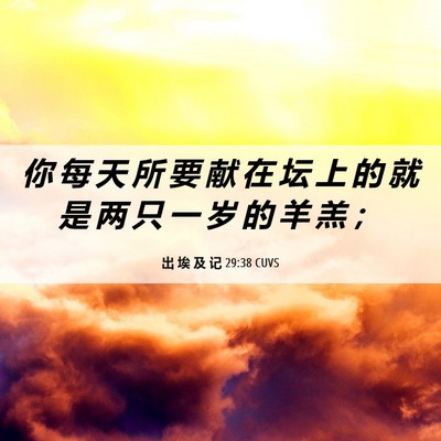 Picture 06 - 出 埃 及 记 29:38 CUVS - 你 每 天 所 要 献 在 坛 上 的 就 是 - Bible Verse Picture