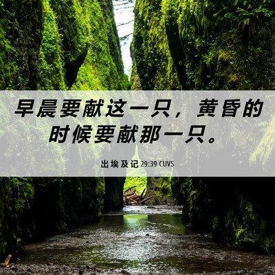 Picture 06 - 出 埃 及 记 29:39 CUVS - 早 晨 要 献 这 一 只 ， 黄 昏 的 时 - Bible Verse Picture