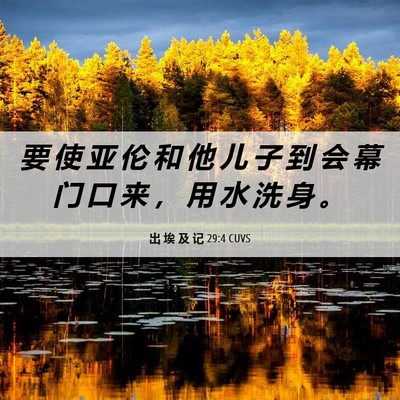 Picture 06 - 出 埃 及 记 29:4 CUVS - 要 使 亚 伦 和 他 儿 子 到 会 幕 门 - Bible Verse Picture