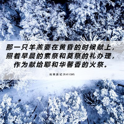 Picture 06 - 出 埃 及 记 29:41 CUVS - 那 一 只 羊 羔 要 在 黄 昏 的 时 候 - Bible Verse Picture