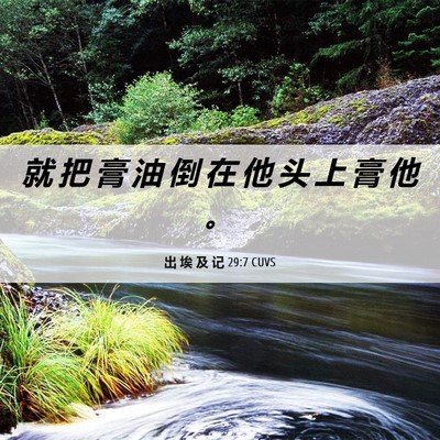 Picture 06 - 出 埃 及 记 29:7 CUVS - 就 把 膏 油 倒 在 他 头 上 膏 他 - Bible Verse Picture