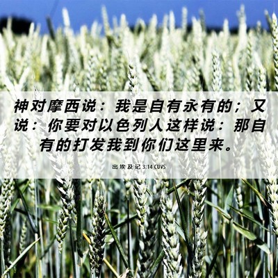 Picture 06 - 出 埃 及 记 3:14 CUVS - 神 对 摩 西 说 ： 我 是 自 有 永 有 - Bible Verse Picture