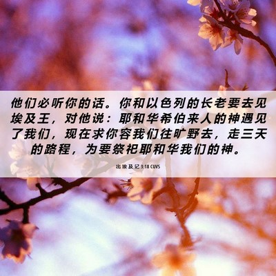 Picture 06 - 出 埃 及 记 3:18 CUVS - 他 们 必 听 你 的 话 。 你 和 以 色 - Bible Verse Picture