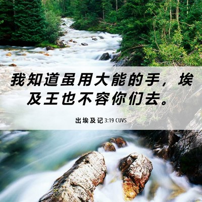 Picture 06 - 出 埃 及 记 3:19 CUVS - 我 知 道 虽 用 大 能 的 手 ， 埃 及 - Bible Verse Picture