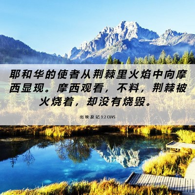 Picture 06 - 出 埃 及 记 3:2 CUVS - 耶 和 华 的 使 者 从 荆 棘 里 火 焰 - Bible Verse Picture