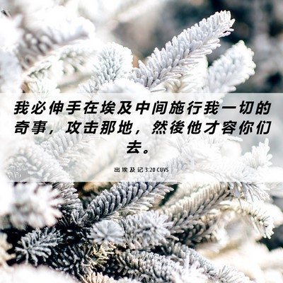 Picture 06 - 出 埃 及 记 3:20 CUVS - 我 必 伸 手 在 埃 及 中 间 施 行 我 - Bible Verse Picture