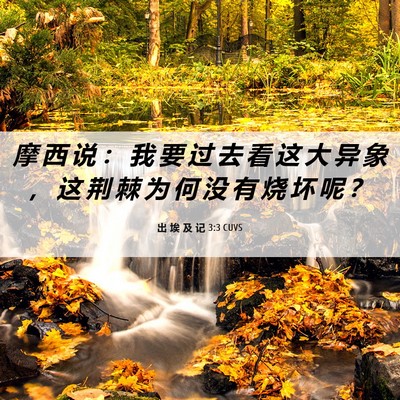 Picture 06 - 出 埃 及 记 3:3 CUVS - 摩 西 说 ： 我 要 过 去 看 这 大 异 - Bible Verse Picture