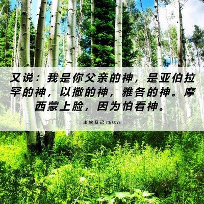 Picture 06 - 出 埃 及 记 3:6 CUVS - 又 说 ： 我 是 你 父 亲 的 神 ， 是 - Bible Verse Picture