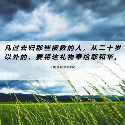 Picture 06 - 出 埃 及 记 30:14 CUVS - 凡 过 去 归 那 些 被 数 的 人 ， 从 - Bible Verse Picture