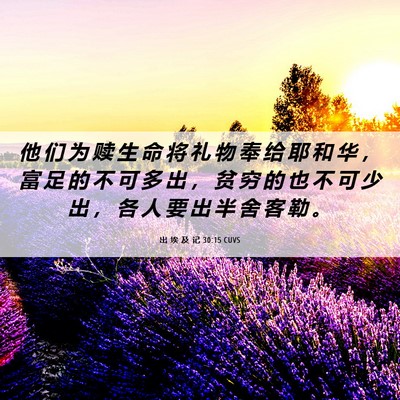 Picture 06 - 出 埃 及 记 30:15 CUVS - 他 们 为 赎 生 命 将 礼 物 奉 给 耶 - Bible Verse Picture