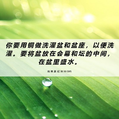 Picture 06 - 出 埃 及 记 30:18 CUVS - 你 要 用 铜 做 洗 濯 盆 和 盆 座 ， - Bible Verse Picture