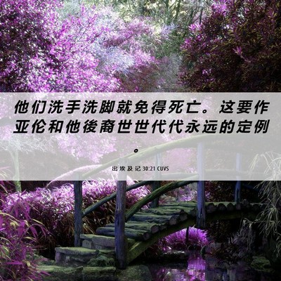 Picture 06 - 出 埃 及 记 30:21 CUVS - 他 们 洗 手 洗 脚 就 免 得 死 亡 。 - Bible Verse Picture