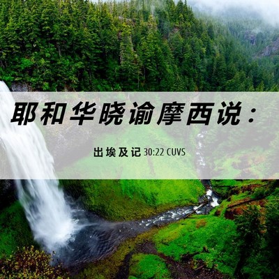 Picture 06 - 出 埃 及 记 30:22 CUVS - 耶 和 华 晓 谕 摩 西 说 - Bible Verse Picture