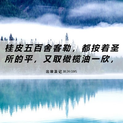Picture 06 - 出 埃 及 记 30:24 CUVS - 桂 皮 五 百 舍 客 勒 ， 都 按 着 圣 - Bible Verse Picture
