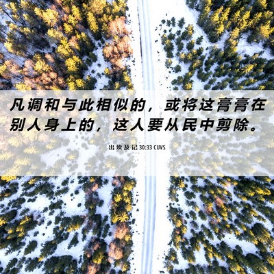 Picture 06 - 出 埃 及 记 30:33 CUVS - 凡 调 和 与 此 相 似 的 ， 或 将 这 - Bible Verse Picture