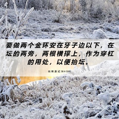 Picture 06 - 出 埃 及 记 30:4 CUVS - 要 做 两 个 金 环 安 在 牙 子 边 以 - Bible Verse Picture