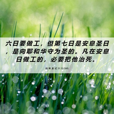 Picture 06 - 出 埃 及 记 31:15 CUVS - 六 日 要 做 工 ， 但 第 七 日 是 安 - Bible Verse Picture