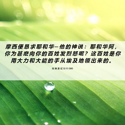 Picture 06 - 出 埃 及 记 32:11 CUVS - 摩 西 便 恳 求 耶 和 华 ─ 他 的 神 - Bible Verse Picture