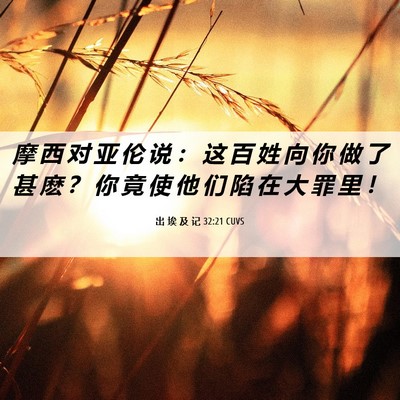 Picture 06 - 出 埃 及 记 32:21 CUVS - 摩 西 对 亚 伦 说 ： 这 百 姓 向 你 - Bible Verse Picture