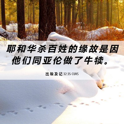 Picture 06 - 出 埃 及 记 32:35 CUVS - 耶 和 华 杀 百 姓 的 缘 故 是 因 他 - Bible Verse Picture