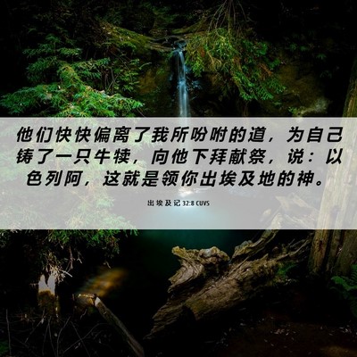 Picture 06 - 出 埃 及 记 32:8 CUVS - 他 们 快 快 偏 离 了 我 所 吩 咐 的 - Bible Verse Picture