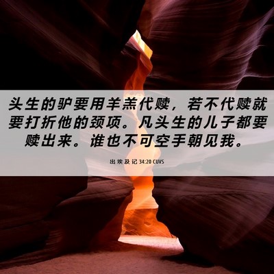 Picture 06 - 出 埃 及 记 34:20 CUVS - 头 生 的 驴 要 用 羊 羔 代 赎 ， 若 - Bible Verse Picture