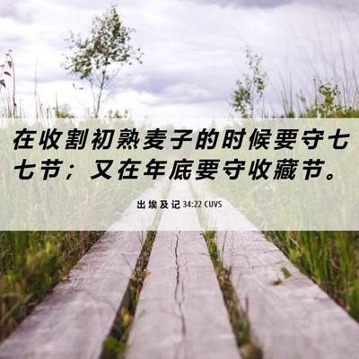 Picture 06 - 出 埃 及 记 34:22 CUVS - 在 收 割 初 熟 麦 子 的 时 候 要 守 - Bible Verse Picture