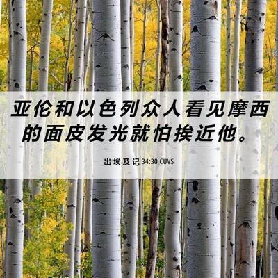 Picture 06 - 出 埃 及 记 34:30 CUVS - 亚 伦 和 以 色 列 众 人 看 见 摩 西 - Bible Verse Picture