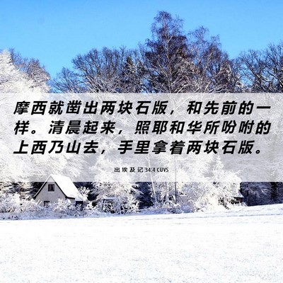 Picture 06 - 出 埃 及 记 34:4 CUVS - 摩 西 就 凿 出 两 块 石 版 ， 和 先 - Bible Verse Picture