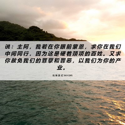 Picture 06 - 出 埃 及 记 34:9 CUVS - 说 ： 主 阿 ， 我 若 在 你 眼 前 蒙 - Bible Verse Picture