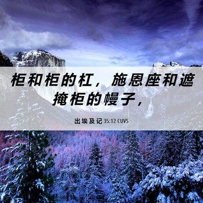 Picture 06 - 出 埃 及 记 35:12 CUVS - 柜 和 柜 的 杠 ， 施 恩 座 和 遮 掩 - Bible Verse Picture