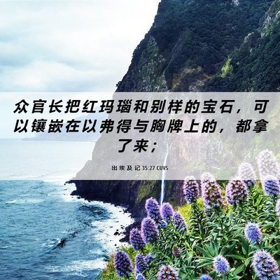 Picture 06 - 出 埃 及 记 35:27 CUVS - 众 官 长 把 红 玛 瑙 和 别 样 的 宝 - Bible Verse Picture