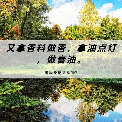 Picture 06 - 出 埃 及 记 35:28 CUVS - 又 拿 香 料 做 香 ， 拿 油 点 灯 ， - Bible Verse Picture