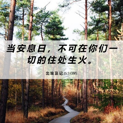 Picture 06 - 出 埃 及 记 35:3 CUVS - 当 安 息 日 ， 不 可 在 你 们 一 切 - Bible Verse Picture