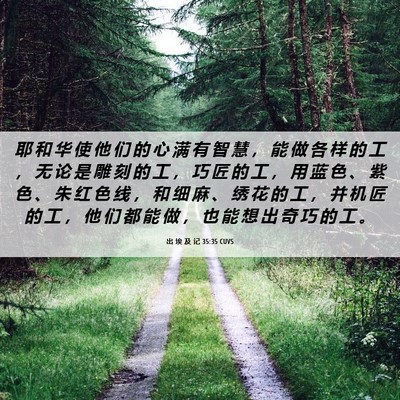 Picture 06 - 出 埃 及 记 35:35 CUVS - 耶 和 华 使 他 们 的 心 满 有 智 慧 - Bible Verse Picture