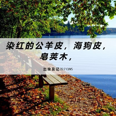 Picture 06 - 出 埃 及 记 35:7 CUVS - 染 红 的 公 羊 皮 ， 海 狗 皮 ， 皂 - Bible Verse Picture