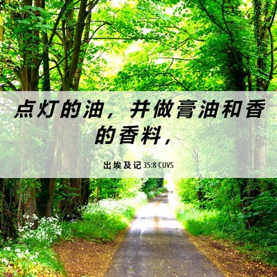 Picture 06 - 出 埃 及 记 35:8 CUVS - 点 灯 的 油 ， 并 做 膏 油 和 香 的 - Bible Verse Picture