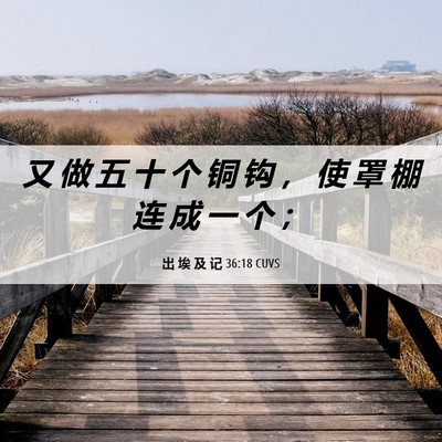 Picture 06 - 出 埃 及 记 36:18 CUVS - 又 做 五 十 个 铜 钩 ， 使 罩 棚 连 - Bible Verse Picture