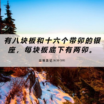 Picture 06 - 出 埃 及 记 36:30 CUVS - 有 八 块 板 和 十 六 个 带 卯 的 银 - Bible Verse Picture