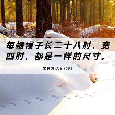 Picture 06 - 出 埃 及 记 36:9 CUVS - 每 幅 幔 子 长 二 十 八 肘 ， 宽 四 - Bible Verse Picture