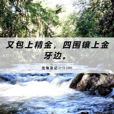 Picture 06 - 出 埃 及 记 37:11 CUVS - 又 包 上 精 金 ， 四 围 镶 上 金 牙 - Bible Verse Picture