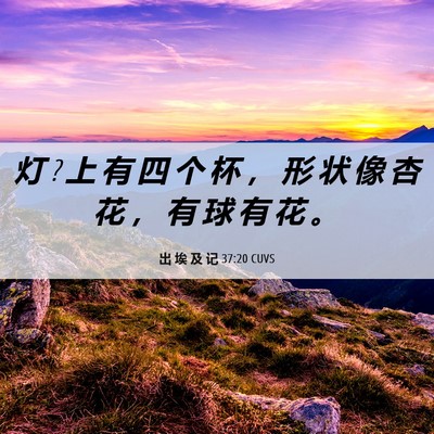 Picture 06 - 出 埃 及 记 37:20 CUVS - 灯 ? 上 有 四 个 杯 ， 形 状 像 杏 花 - Bible Verse Picture