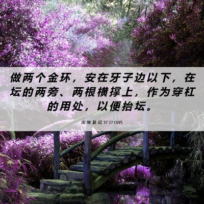Picture 06 - 出 埃 及 记 37:27 CUVS - 做 两 个 金 环 ， 安 在 牙 子 边 以 - Bible Verse Picture