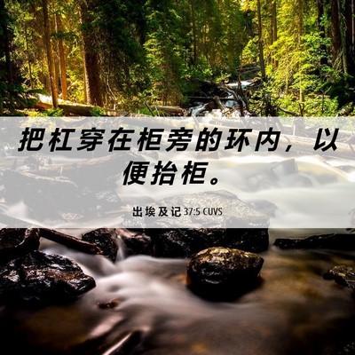Picture 06 - 出 埃 及 记 37:5 CUVS - 把 杠 穿 在 柜 旁 的 环 内 ， 以 便 - Bible Verse Picture
