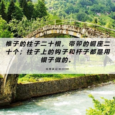 Picture 06 - 出 埃 及 记 38:10 CUVS - 帷 子 的 柱 子 二 十 根 ， 带 卯 的 - Bible Verse Picture