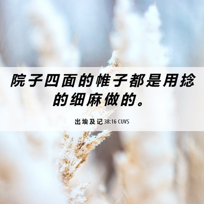 Picture 06 - 出 埃 及 记 38:16 CUVS - 院 子 四 面 的 帷 子 都 是 用 捻 的 - Bible Verse Picture