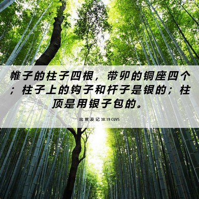 Picture 06 - 出 埃 及 记 38:19 CUVS - 帷 子 的 柱 子 四 根 ， 带 卯 的 铜 - Bible Verse Picture