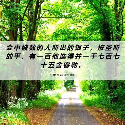 Picture 06 - 出 埃 及 记 38:25 CUVS - 会 中 被 数 的 人 所 出 的 银 子 ， - Bible Verse Picture